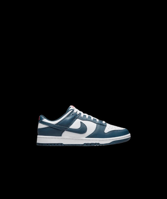 Nike Dunk Low Valerian Blue