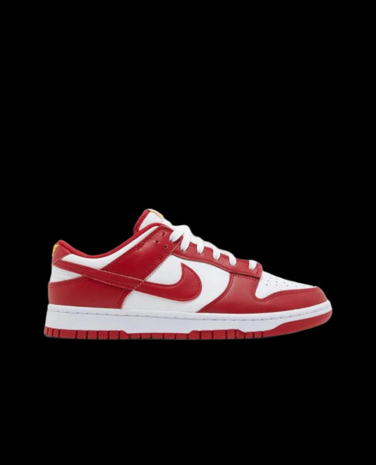 Nike Dunk Low USC